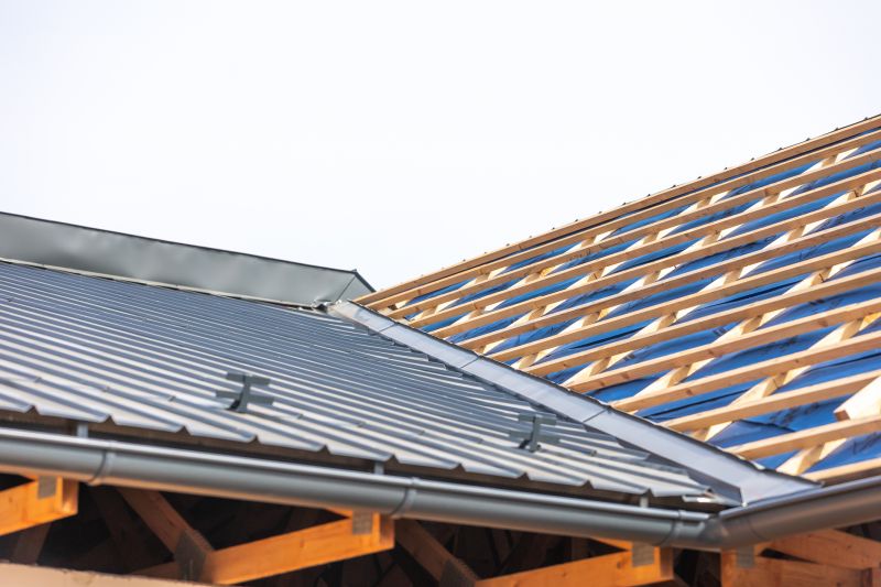 Common Signs You Need Professional Metal Roof Repair